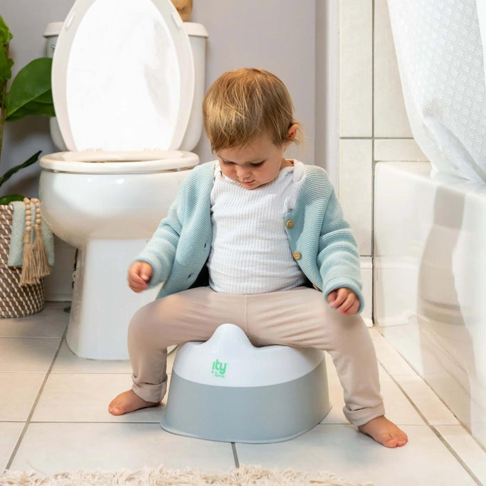 Ingenuity Baby & Toddler Ready Set Go Potty