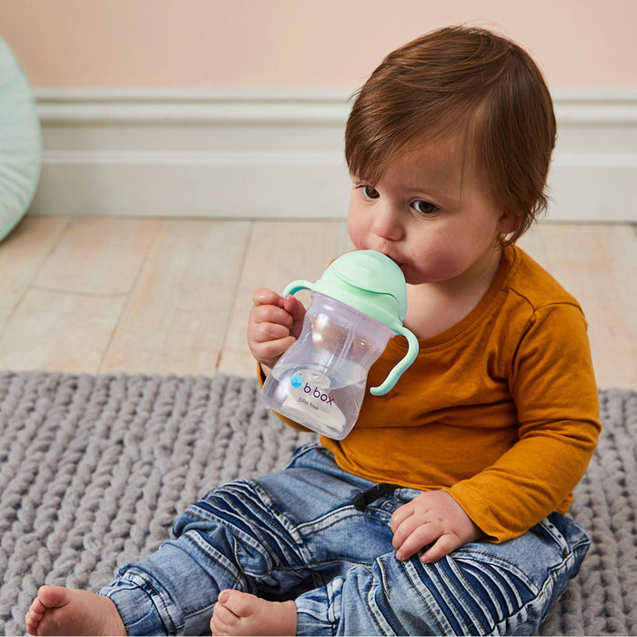 b.box Baby & Toddler Sippy Straw Cup - 240ml