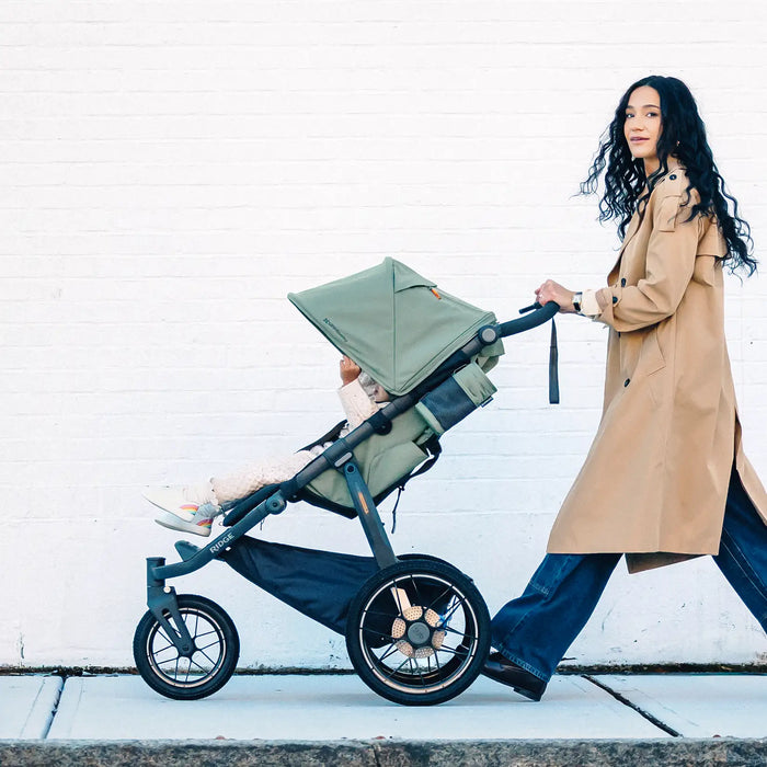 UPPAbaby Ridge V2 Stroller - Evelyn