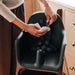 UPPAbaby Ciro V2 Baby High Chair - Anya (Warm White)