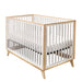 1st Snooze - 1st Snooze 4-in-1 Dream Crib – Convertible Baby Crib with Modern Design