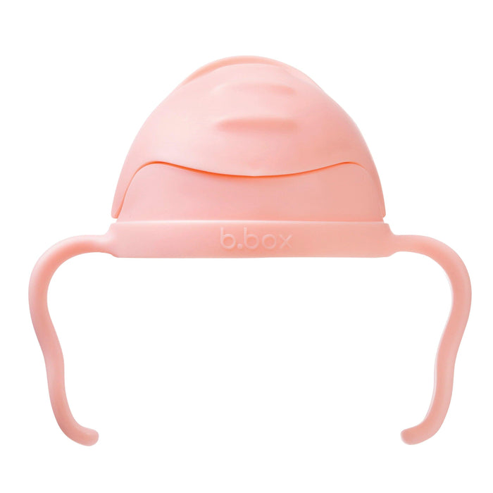 b.box Baby & Toddler Sippy Straw Cup - 240ml