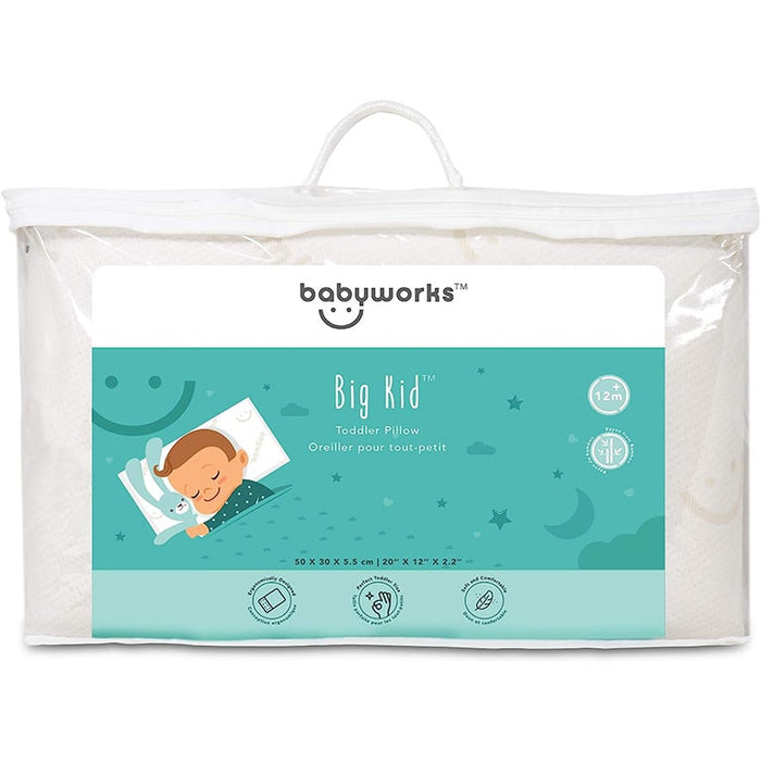 Baby Works Big Kid Toddler Pillow with Bamboo Pillowcase