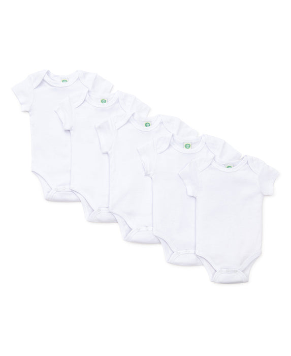 Little Me Baby 5-Pack Bodysuits - 100% Cotton - White