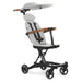 Evolur Cruise Rider Stroller with Canopy – Cognac lifestyle