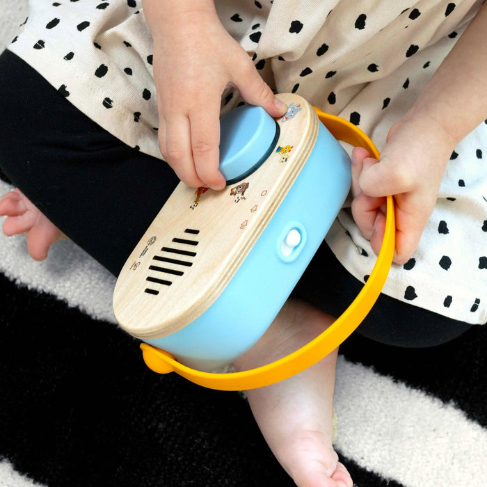 Baby Eintstein HAPE Discovery FM Radio Toy Radio