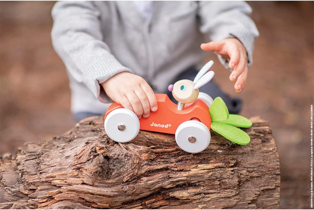 Janod Baby Rabbit's Carrot Wooden Car