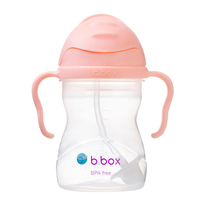 b.box Baby & Toddler Sippy Straw Cup - 240ml