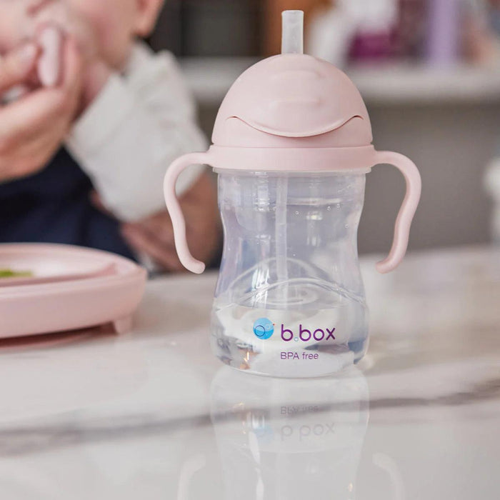 b.box Baby & Toddler Sippy Straw Cup - 240ml