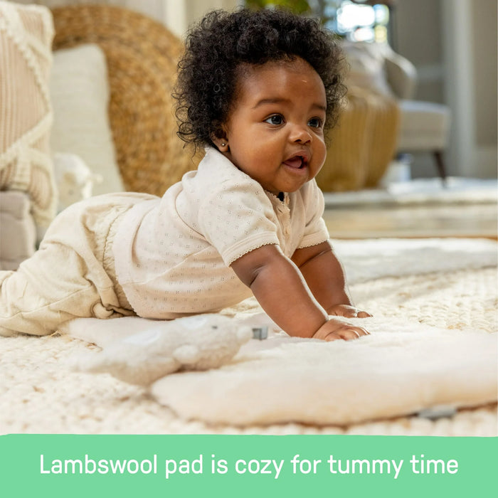 Ingenuity Every Season Swing 'n Go Portable Swing - Wesley