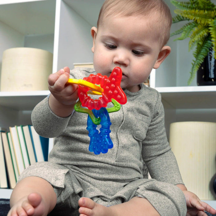 Baby Einstein Cool Critters Ring Teether Toy Set