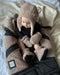 7 A.M.® - 7 A.M. The Cub Set - Teddy - Baby Hat & Mitts Set
