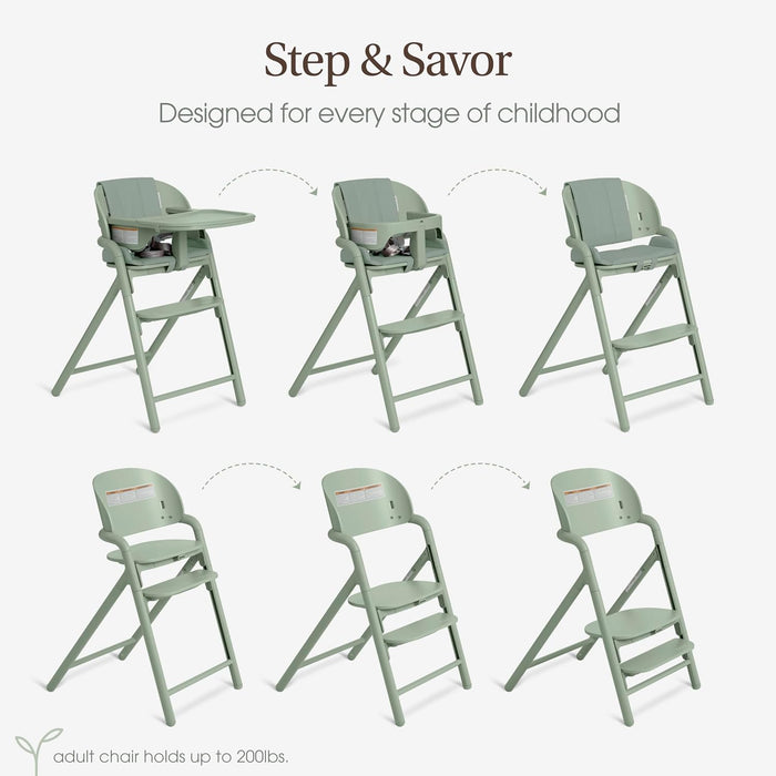Adjustable green high chair for babies and kids, converts to toddler and adult chair
