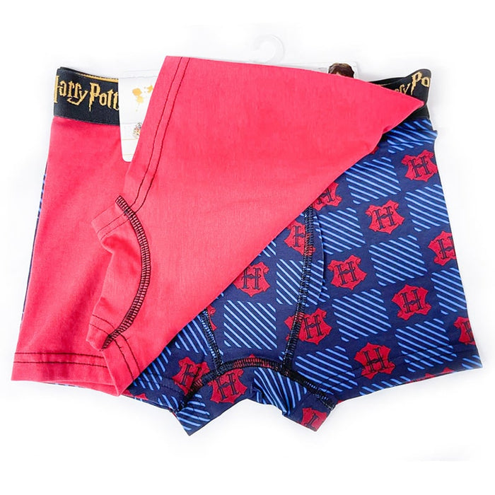 Jellifish Harry Potter Boys Assorted Boxer Briefs - 2 Pack