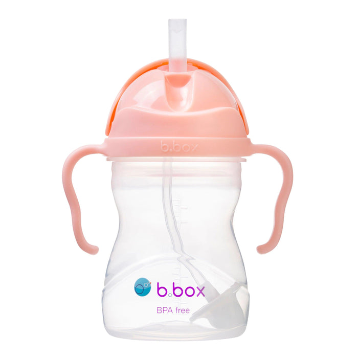 b.box Baby & Toddler Sippy Straw Cup - 240ml