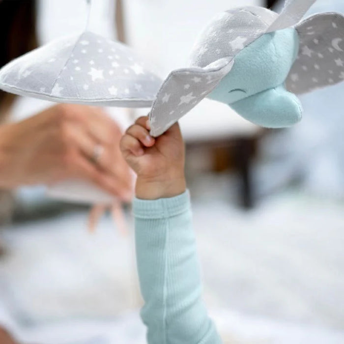 Tapis d'éveil Aden + Anais | Rising Star &amp; Ma Fleur | Tapis d'éveil premium pour bébés