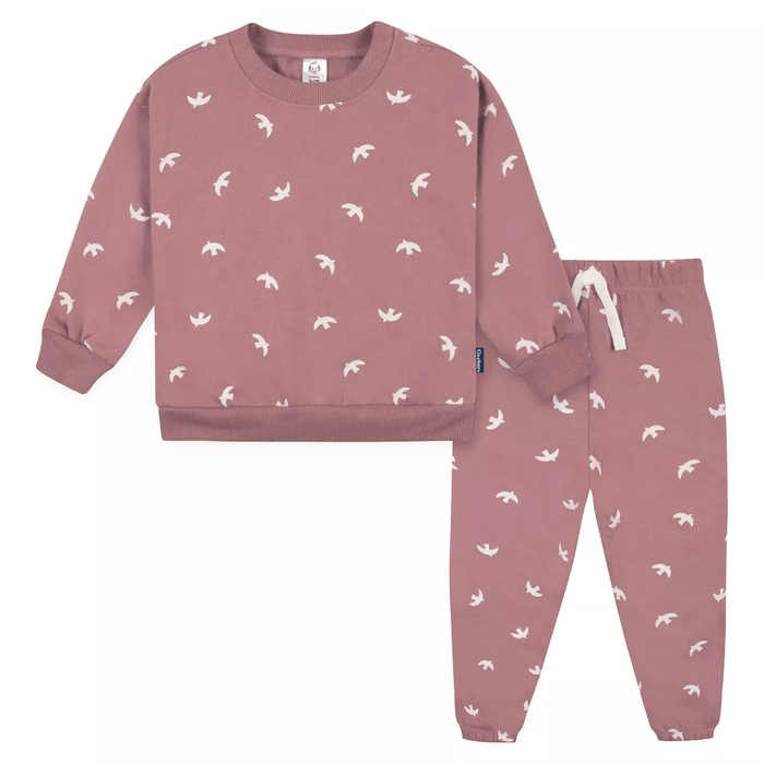 Gerber Baby and Toddler Girls' 2-Piece Sweatshirt & Active Pant Set - Birds