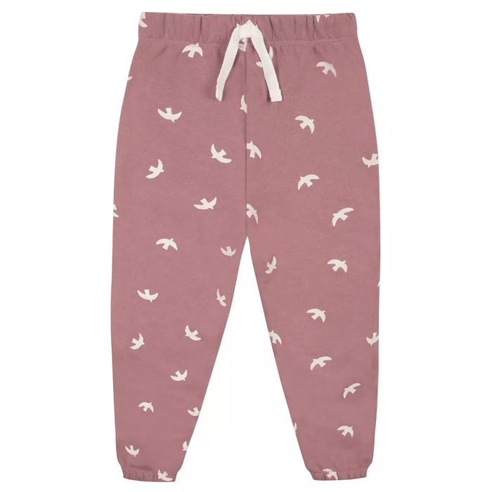 Gerber Baby and Toddler Girls' 2-Piece Sweatshirt & Active Pant Set - Birds