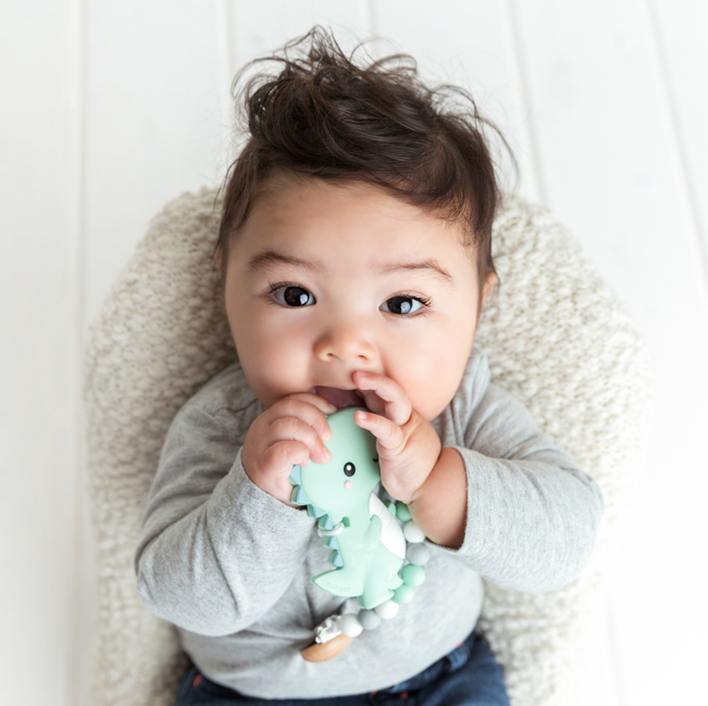 Glitter & Spice® Teether - T-Rex Dino