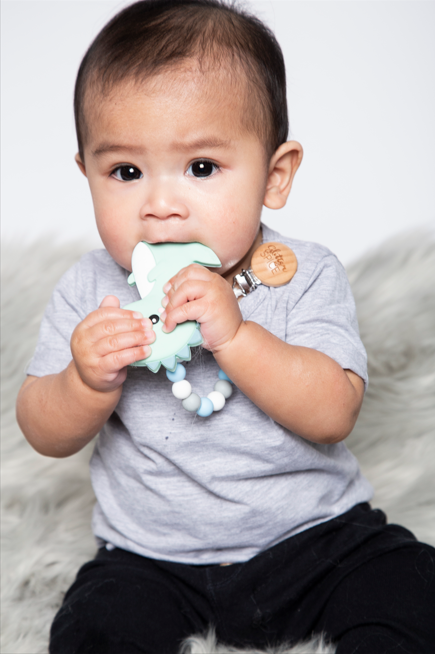 Glitter & Spice® Teether - T-Rex Dino