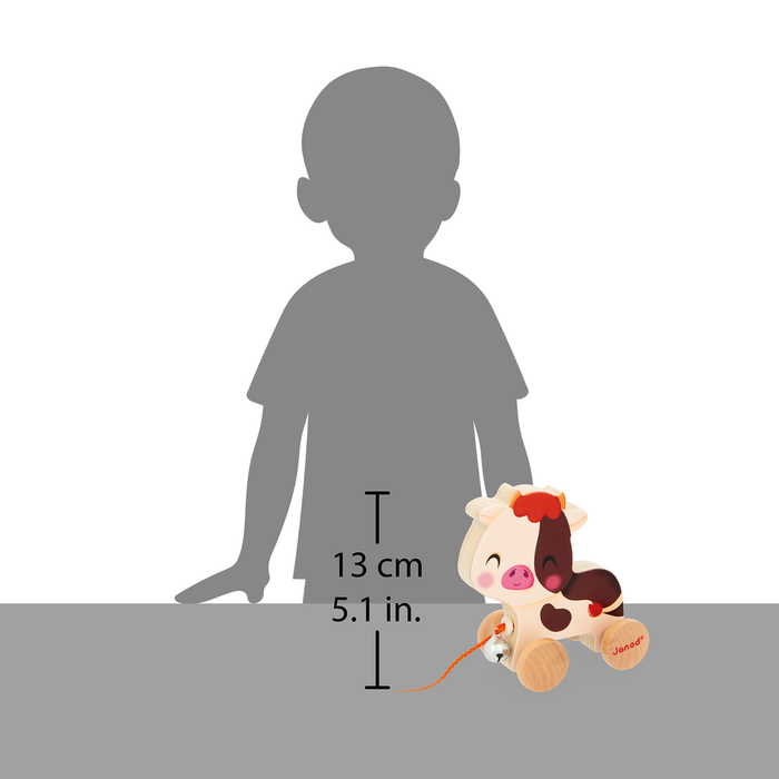 Janod Children Wooden Pull Along Farm Animal Toy