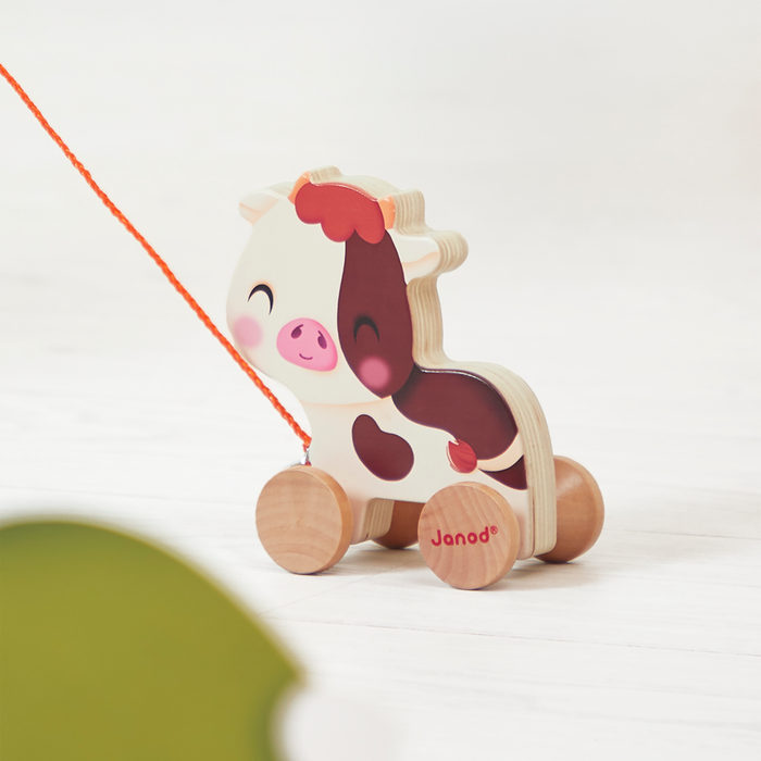 Janod Children Wooden Pull Along Farm Animal Toy