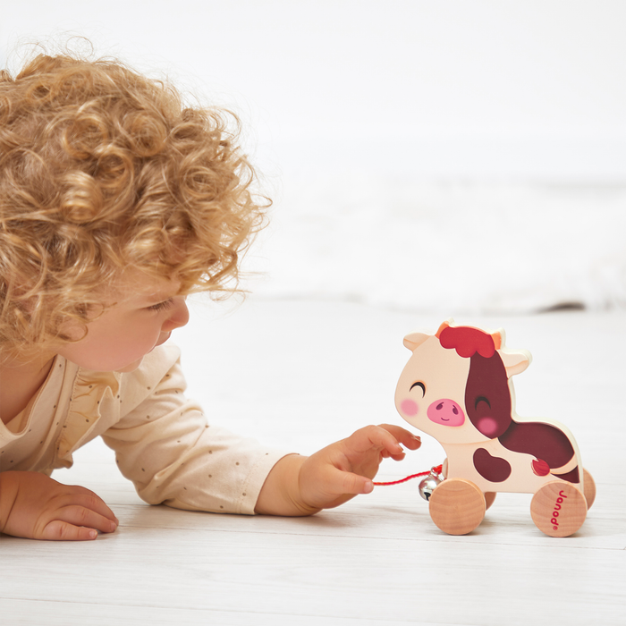 Janod Children Wooden Pull Along Farm Animal Toy