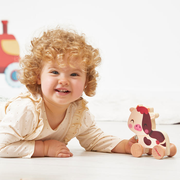 Janod Children Wooden Pull Along Farm Animal Toy