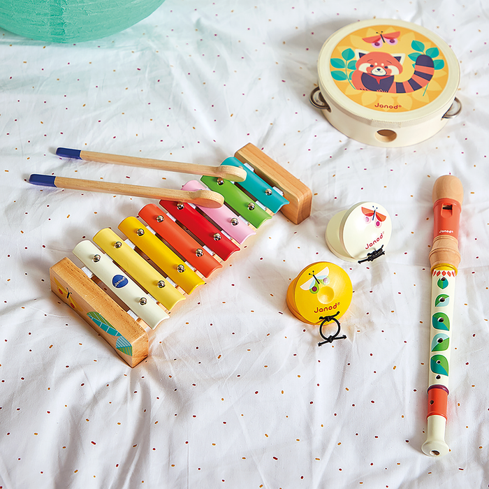 Janod Gioia Toy Musical Instument Set
