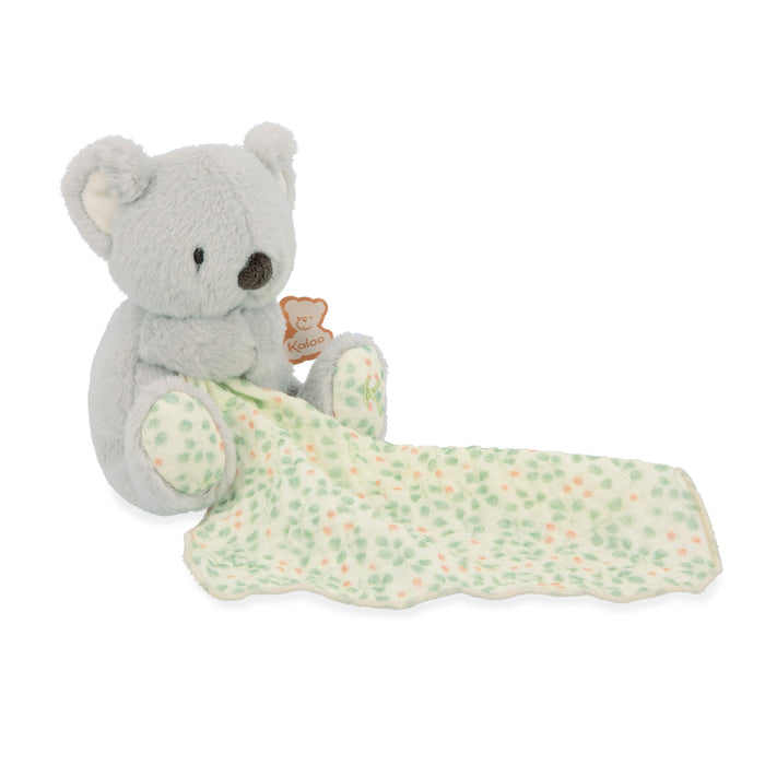Kaloo® Little Dream Teddy Bear - Koala