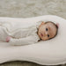 Snuggle me LoungerCurveCover organic cotton muslin
