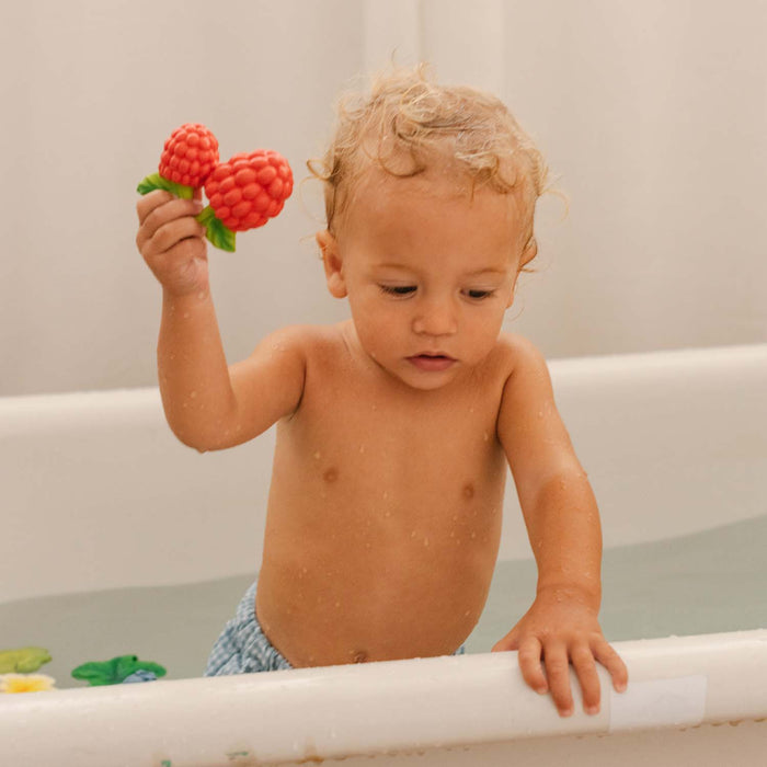 Oli & Carol® Valery the Raspberry Baby Teether