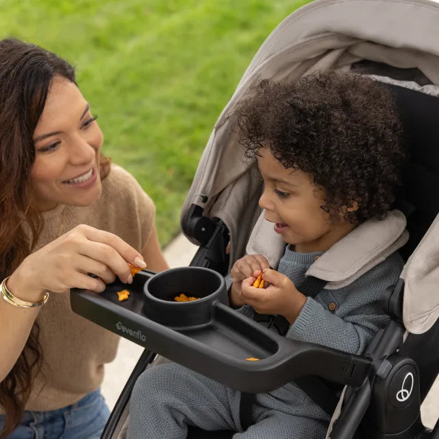 Evenflo® Omni Signature Travel System with LiteMax Infant Car Seat – Stroller Up to 50 lb