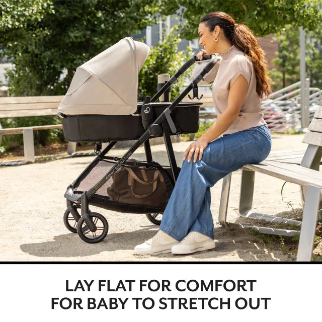 Evenflo® Omni Signature Travel System with LiteMax Infant Car Seat – Stroller Up to 50 lb