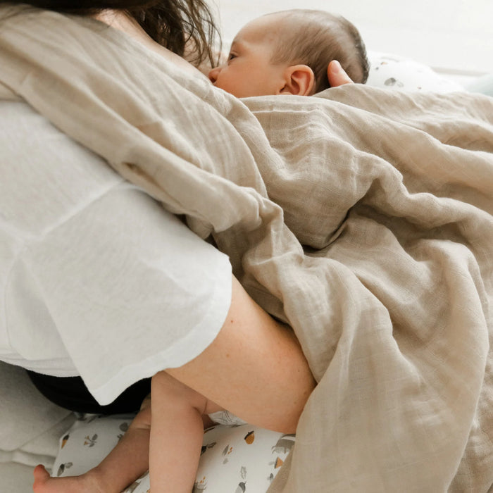 Coussin d'allaitement avec housse amovible en bambou de Perlimpinpin