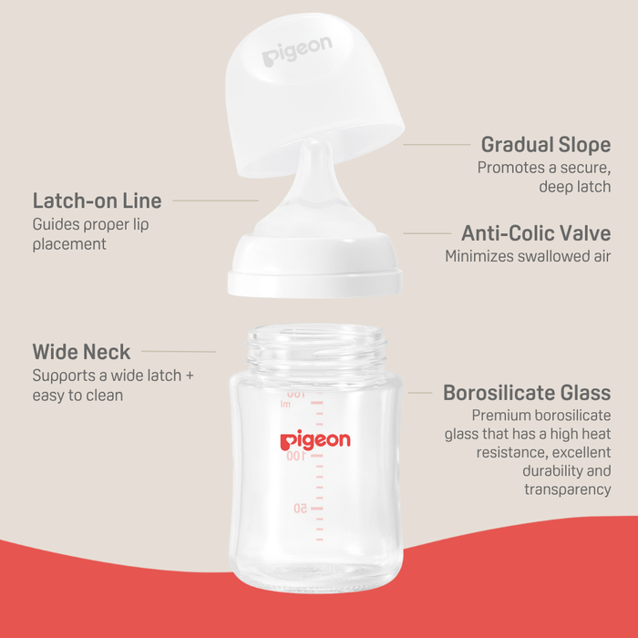 Pigeon® Glass Bottle 5oz with SS Nipple (0M+)