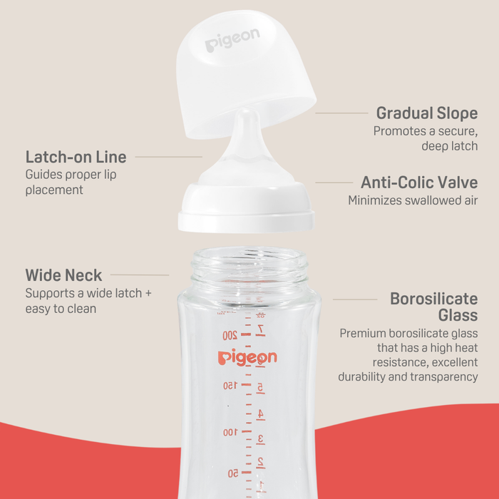 Pigeon® Glass Bottle 8oz with Medium Nipple (3M+)