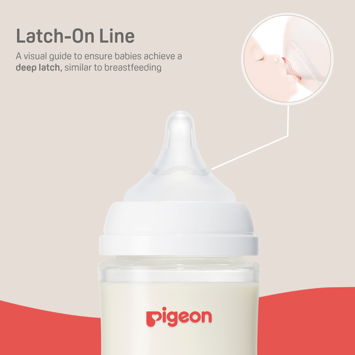 Pigeon® Glass Bottle 8oz with Medium Nipple (3M+)