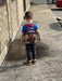 A Little Lovely Company® - Avengers & Spiderman Toddler Backpack