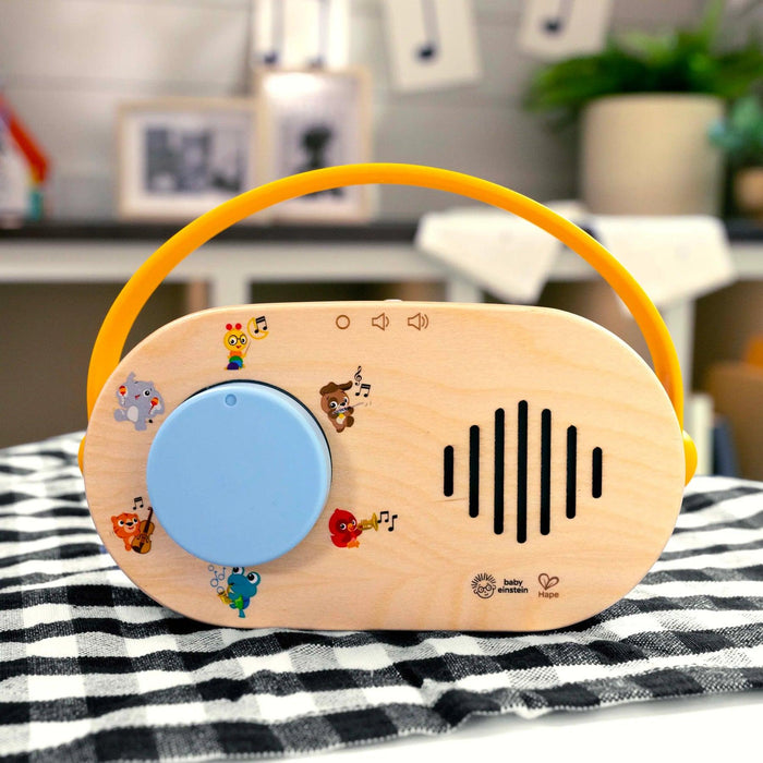 Baby Eintstein HAPE Discovery FM Radio Toy Radio