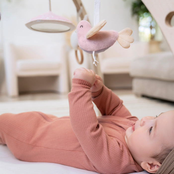 Tapis d'éveil Aden + Anais | Rising Star &amp; Ma Fleur | Tapis d'éveil premium pour bébés