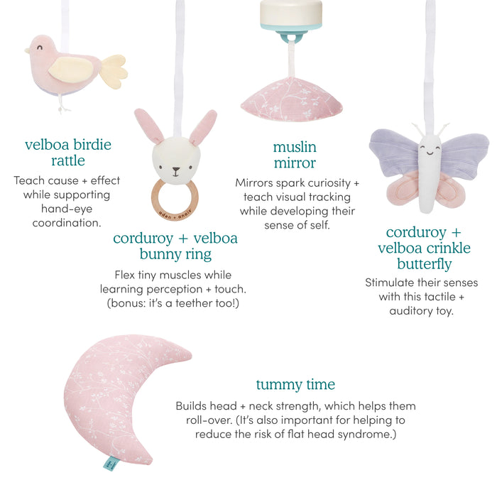 Tapis d'éveil Aden + Anais | Rising Star &amp; Ma Fleur | Tapis d'éveil premium pour bébés