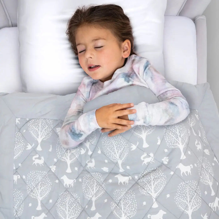 Couverture lestée pour tout-petit Aden + Anais®
