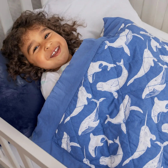Couverture lestée pour tout-petit Aden + Anais®