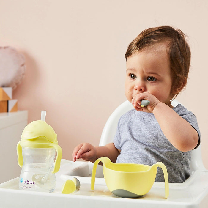 b.box Baby & Toddler Sippy Straw Cup - 240ml