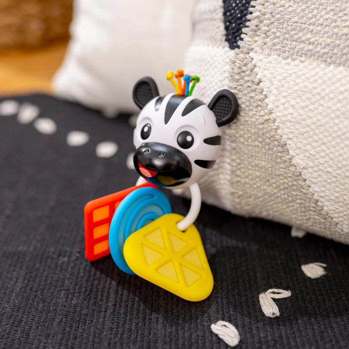 Baby Einstein® - Baby Einstein Shake-a-Shape Zen Teether Toy