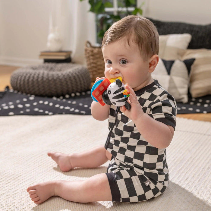 Baby Einstein® - Baby Einstein Shake-a-Shape Zen Teether Toy