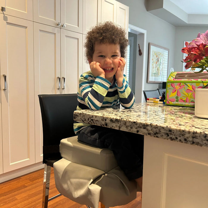 Baby Works® Keep It Clean Toddler Booster Seat – Portable Dining Seat (Grey)