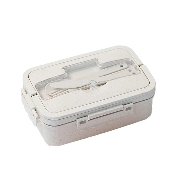 Day in Day Out Eco-Friendly Bento Box