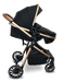 BILY® - Bily Convertible Stroller, Black & Gold